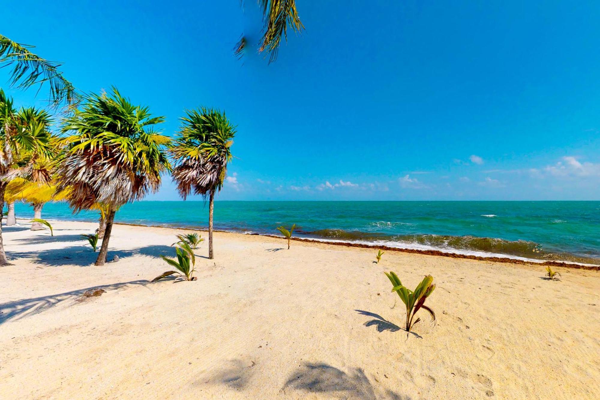 Casa Spuntino Villa Placencia Екстериор снимка