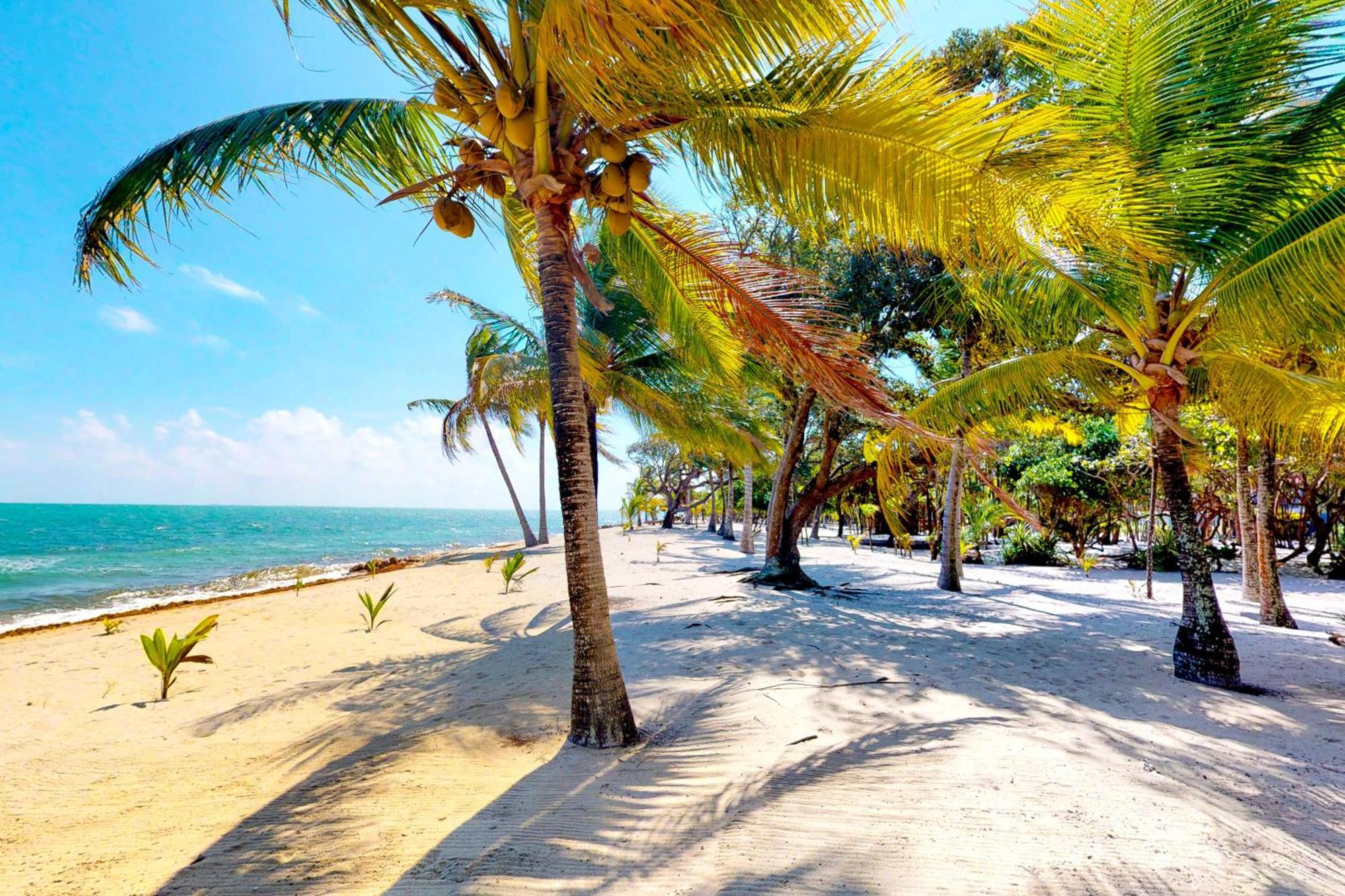 Casa Spuntino Villa Placencia Екстериор снимка
